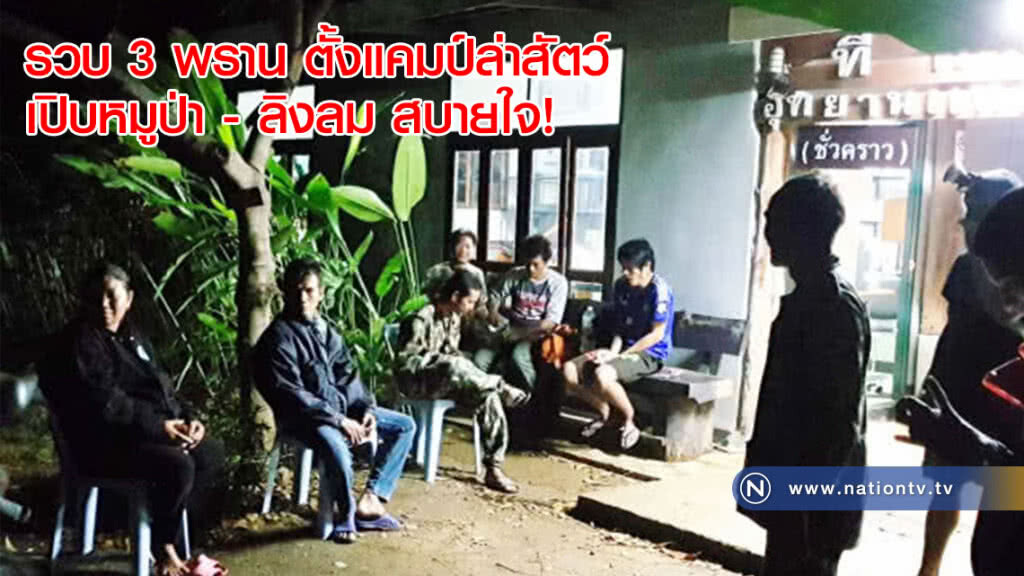 สถานการณ์คุ้นๆ! รวบ 3 พราน ตั้งแคมป์ล่าสัตว์เปิบหมูป่า - ลิงลมสบายใจ! (คลิป)