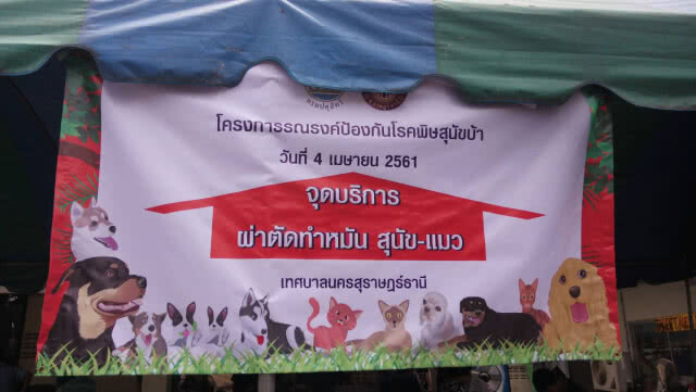 เร่งฉีดวัคซีนป้องกันพิษสุนัขบ้า หลังพบติดเชื้อ 5 ตัว