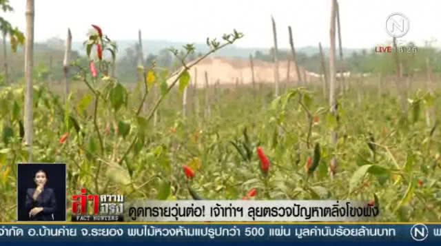 ดูดทรายวุ่นต่อ!  "เจ้าท่า"  ลุยตรวจปัญหาตลิ่งโขงพัง