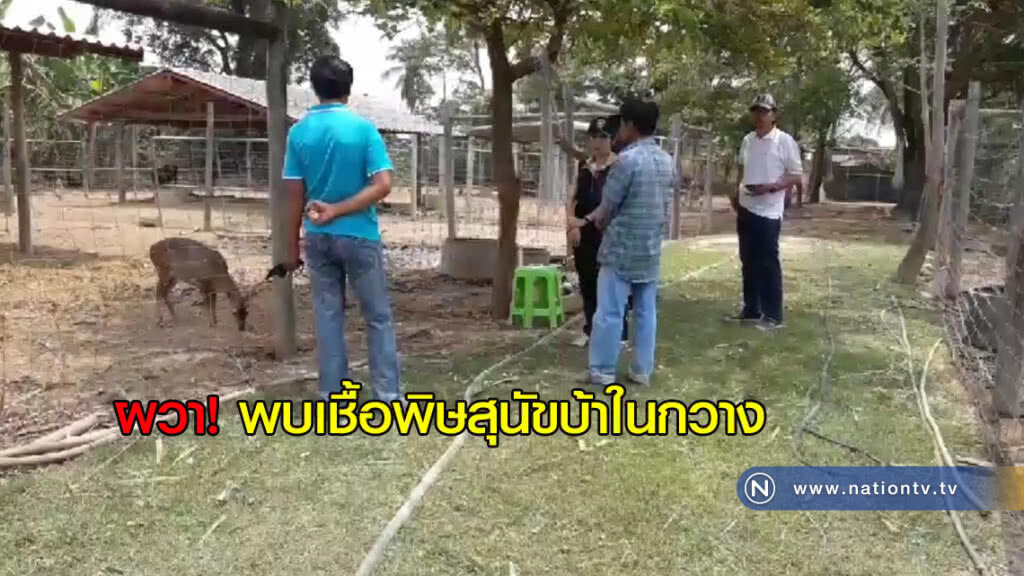 ผวา! พบเชื้อพิษสุนัขบ้าในกวาง ผวา! พบเชื้อพิษสุนัขบ้าในกวาง