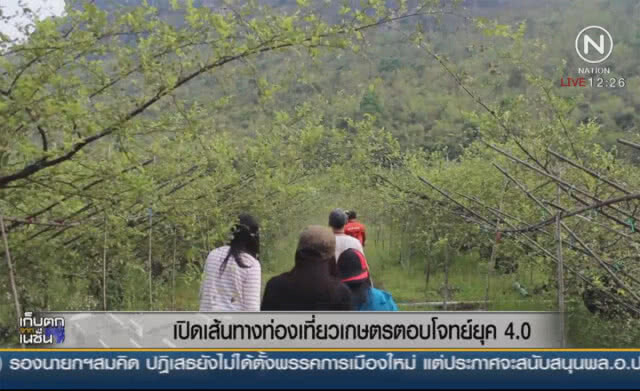 เปิดเส้นทางท่องเที่ยวเกษตร ตอบโจทย์ยุค 4.0