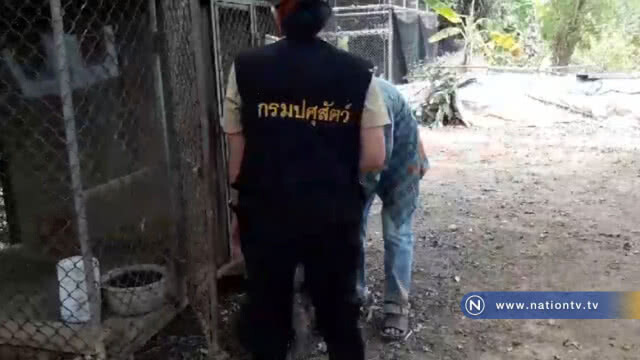 ผวา! พบเชื้อพิษสุนัขบ้าในกวาง