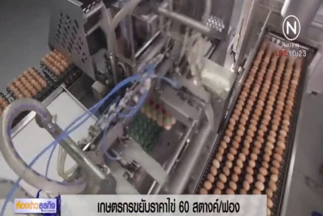 อ่วม.....ไข่ไก่เตรียมขึ้น 60 สตางค์ ภายในเดือนนี้