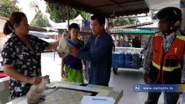 ผวา! พบเชื้อพิษสุนัขบ้าในกวาง