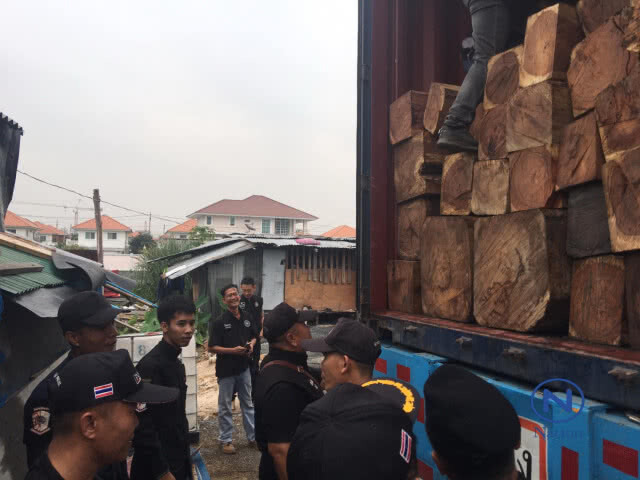 สยบขบวนการไม้ข้ามชาติ
ยึดตู้คอนเทนเนอร์เตรียมส่งนอก