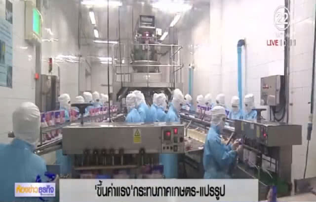 ชี้ขึ้นค่าแรงขั้นต่ำ กระทบภาคเกษตร เหตุใช้แรงงานมาก