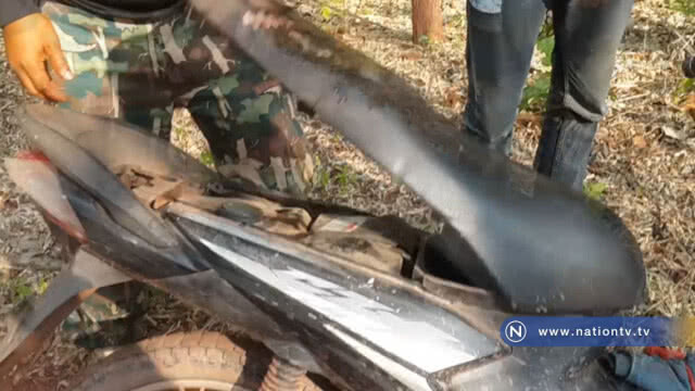 จับ 2 นายพรานลอบยิงหมูป่าในเขตรักษาพันธุ์สัตว์ป่าน้ำปาด
