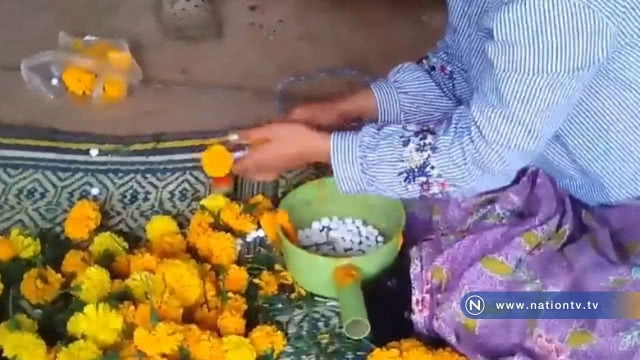 เกษตรกรปลูกดาวเรือง ทำพวงมาลัยขายรายได้งาม