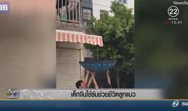 เด็กจีนใช้ร่มช่วยชีวิตลูกแมว