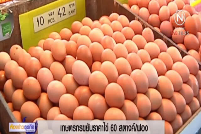 อ่วม.....ไข่ไก่เตรียมขึ้น 60 สตางค์ ภายในเดือนนี้