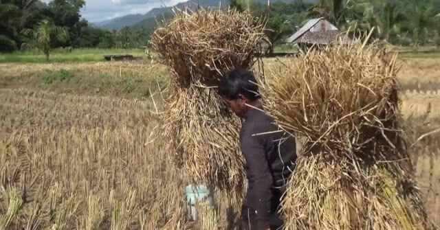 ปรับการเติบโตเศรษฐกิจเป็น 4-4.5% หลัง 2 เดือนแรกโตต่อเนื่อง