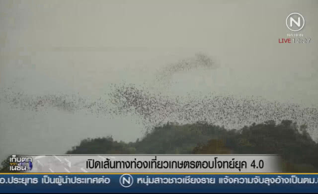เปิดเส้นทางท่องเที่ยวเกษตร ตอบโจทย์ยุค 4.0