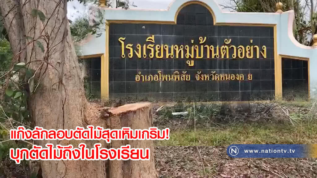 แก๊งลักลอบตัดไม้สุดเหิมเกริม! บุกเข้าไปตัดไม้ถึงในโรงเรียนกันแล้ว(คลิป)