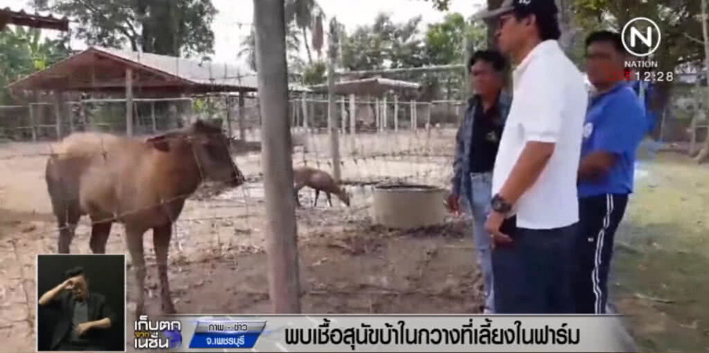 ประกาศ อ.ท่ายางและเขาย้อย เป็นเขตโรคระบาด หลังพบเชื้อพิษสุนัขบ้าในกวาง