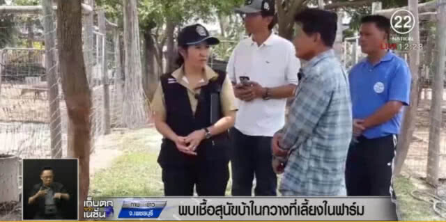 ประกาศ อ.ท่ายางและเขาย้อย เป็นเขตโรคระบาด หลังพบเชื้อพิษสุนัขบ้าในกวาง