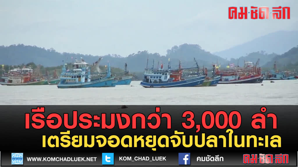(คลิปข่าว)เรือประมงกว่า 3,000 ลำ เตรียมหยุดจับปลาในทะเล