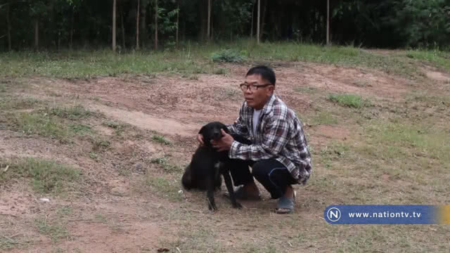 "เร่งระดม"  ฉีดวัคซีนหมาแมว