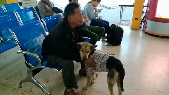 สุดทึ่ง!! สุนัขแสนรู้ร้องเพลงชาติทุกเช้า-เย็น ใน บขส.นครพนม