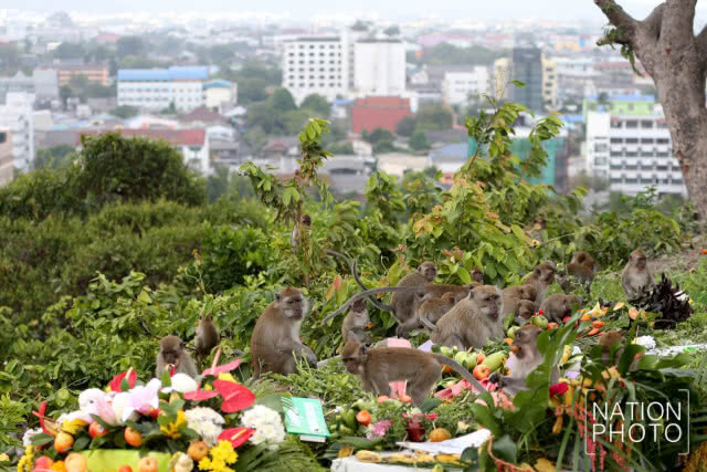 ครบรอบ 86 ปี วันสิ้นพระชนม์ อุปราชมณฑลปักษ์ใต้ กรมหลวงลพบุรีราเมศวร์