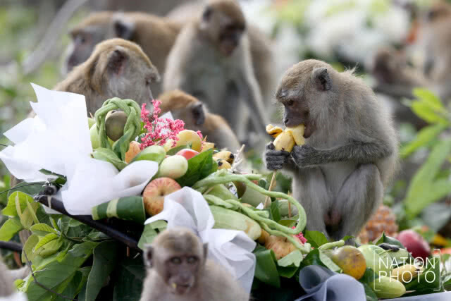 ครบรอบ 86 ปี วันสิ้นพระชนม์ อุปราชมณฑลปักษ์ใต้ กรมหลวงลพบุรีราเมศวร์