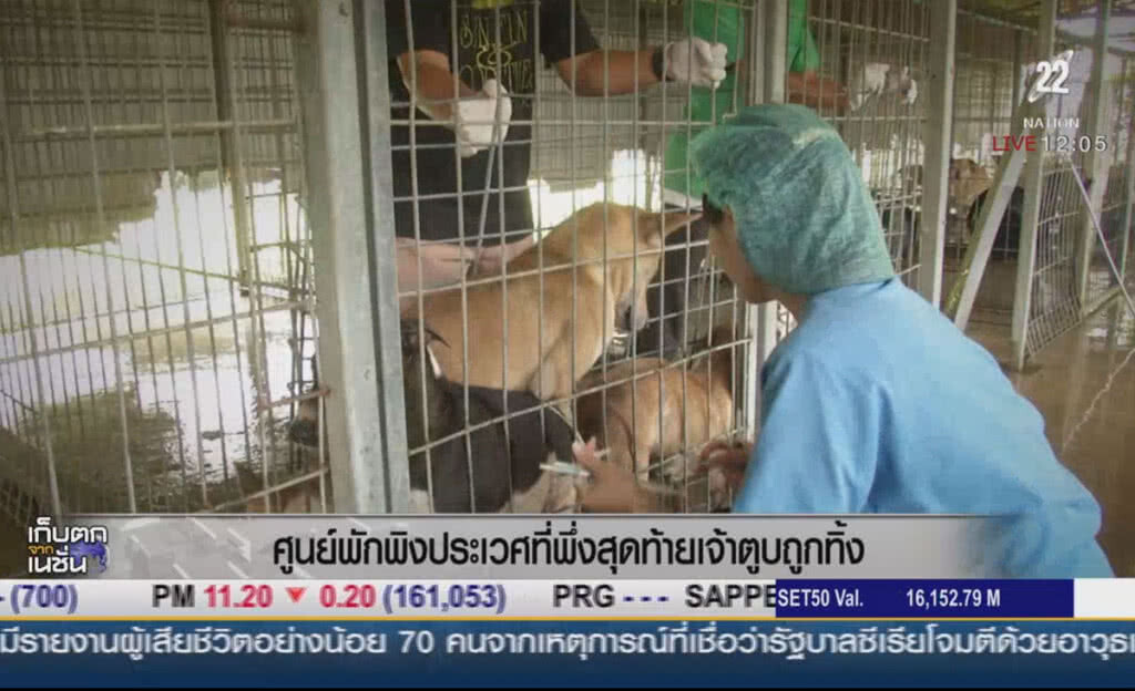ศูนย์พักพิง "ประเวศ" ที่พึ่งสุดท้ายเจ้าตูบถูกทิ้ง