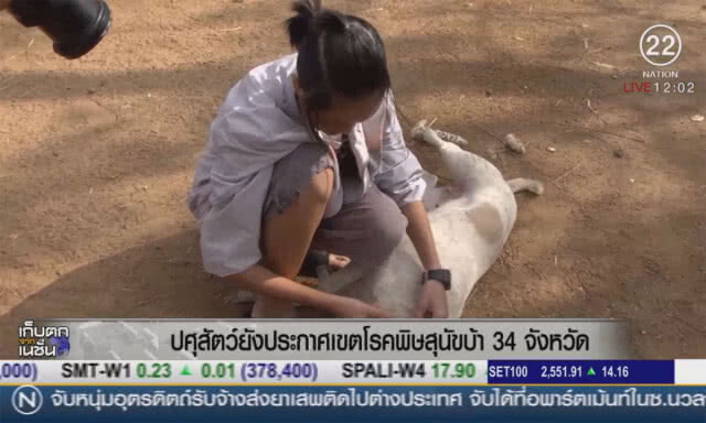 ปศุสัตว์ยังประกาศเขตโรคพิษสุนัขบ้า 34 จังหวัด