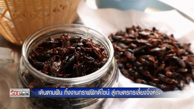 เดินตามฝัน ทิ้งงานกราฟฟิกดีไซน์ สู่เกษตรกรเลี้ยงจิ้งหรีด