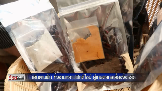 เดินตามฝัน ทิ้งงานกราฟฟิกดีไซน์ สู่เกษตรกรเลี้ยงจิ้งหรีด