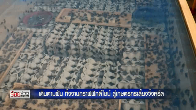 เดินตามฝัน ทิ้งงานกราฟฟิกดีไซน์ สู่เกษตรกรเลี้ยงจิ้งหรีด