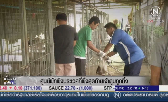 ศูนย์พักพิง "ประเวศ" ที่พึ่งสุดท้ายเจ้าตูบถูกทิ้ง