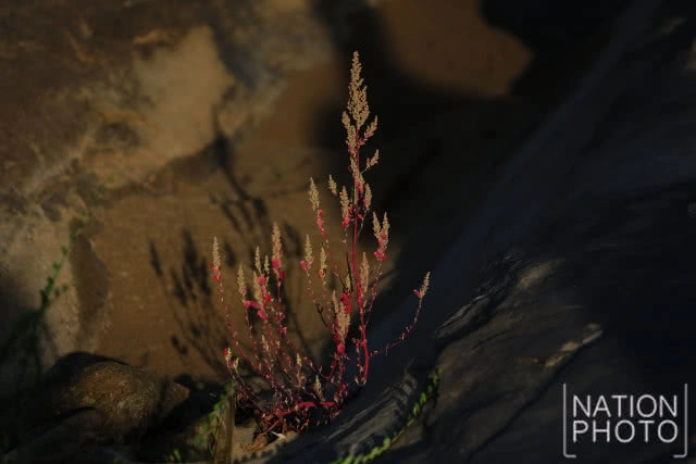 "หาดชมดาว" ประติมากรรมหินธรรมชาติรูปร่างแปลกตาชวนจินตนาการ