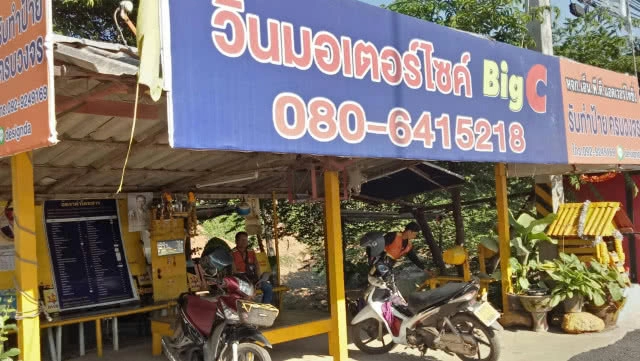 วินท่าตูมสุดตื่นเต้น! พบดอกบุกยักษ์ผุดข้างๆ ทั้งๆที่ท่าจอดตั้งมาหลายปีแล้ว