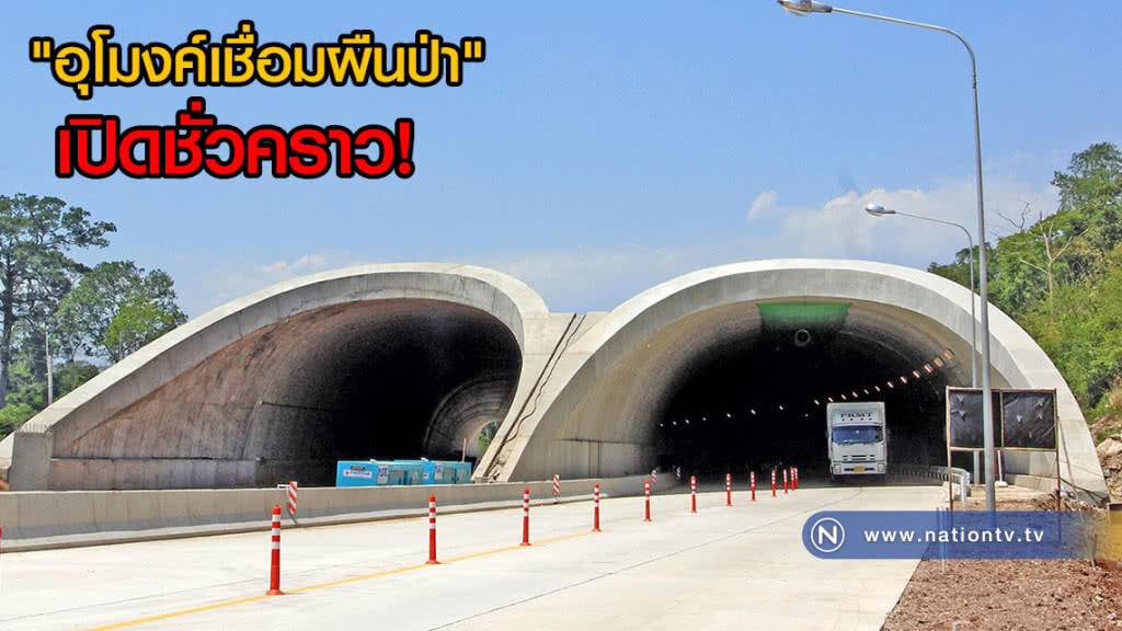 (ภาพชุด)ปชช.หันไปวิ่งผ่าน "อุโมงค์เชื่อมผืนป่า" มากขึ้น หลังเปิดให้ใช้ช่วงสงกรานต์
