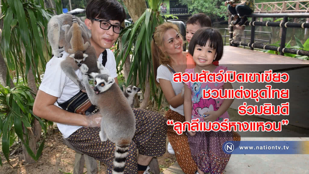 สวนสัตว์เปิดเขาเขียว ชวนแต่งชุดไทยร่วมยินดี "ลูกลีเมอร์หางแหวน"