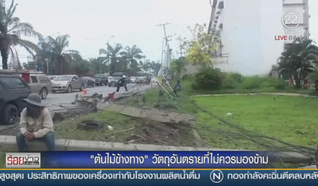 "ต้นไม้ข้างทาง" วัตถุอันตรายที่ไม่ควรมองข้าม