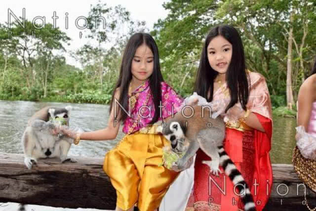 สวนสัตว์เปิดเขาเขียว ชวนแต่งชุดไทยร่วมยินดี "ลูกลีเมอร์หางแหวน"