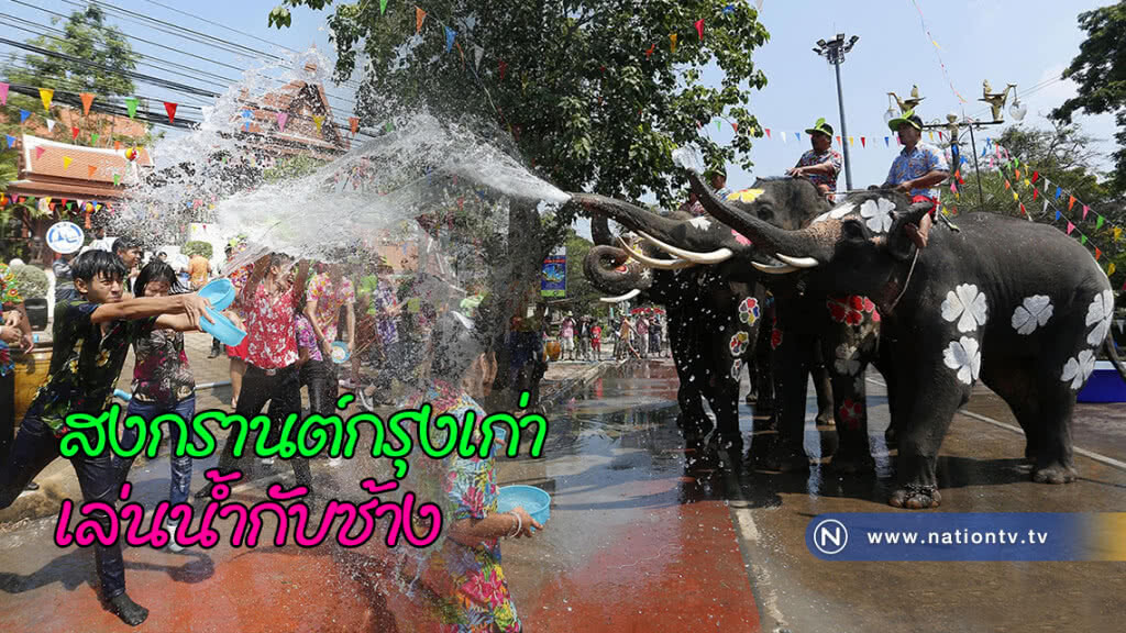 สงกรานต์กรุงเก่า เล่นน้ำกับช้าง สงกรานต์กรุงเก่า เล่นน้ำกับช้าง