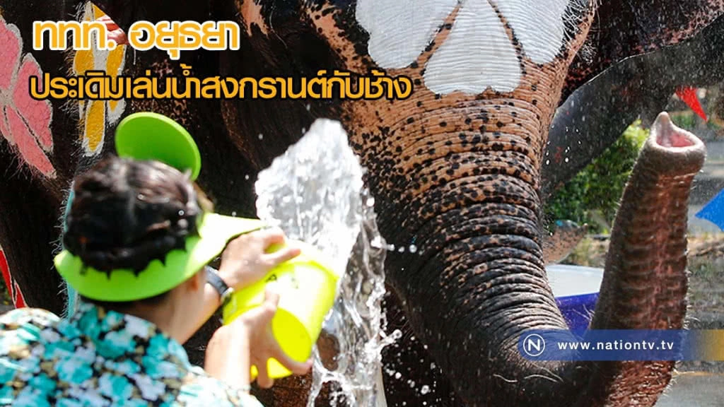 ททท.อยุธยา จัดประเดิมเล่นน้ำสงกรานต์กับช้างโชว์ความเป็นไทย