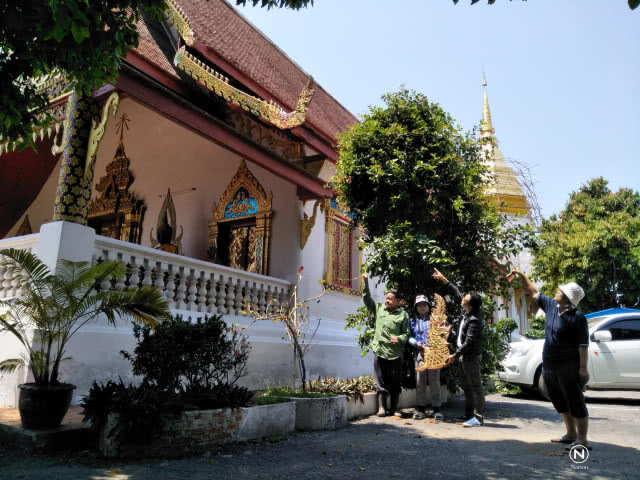 พายุพัดถล่มวัดลี หลังคาพัง ร่วงหล่น โชคดีไม่โดนหัวคน-พระ