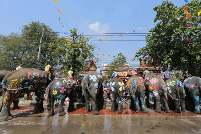ททท.อยุธยา จัดประเดิมเล่นน้ำสงกรานต์กับช้างโชว์ความเป็นไทย