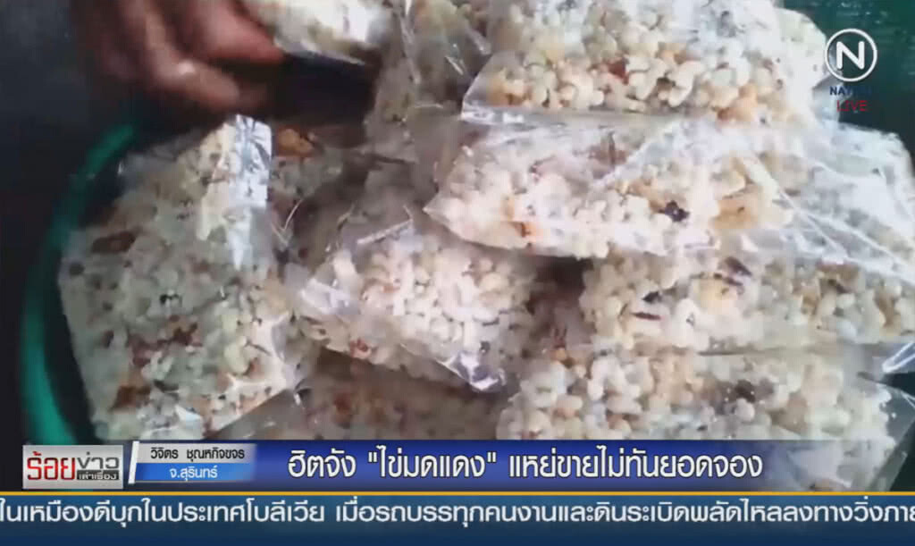 ฮิตจัง ! "ไข่มดแดง" แหย่ขายไม่ทันยอดจอง ฮิตจัง ! "ไข่มดแดง" แหย่ขายไม่ทันยอดจอง
