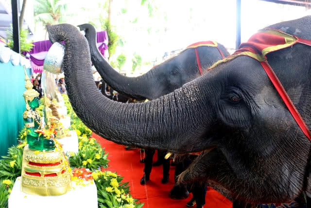 "เทศกาลสงกรานต์ ดอกไม้บาน สวนนงนุชพัทยา" สืบสานประเพณีไทย