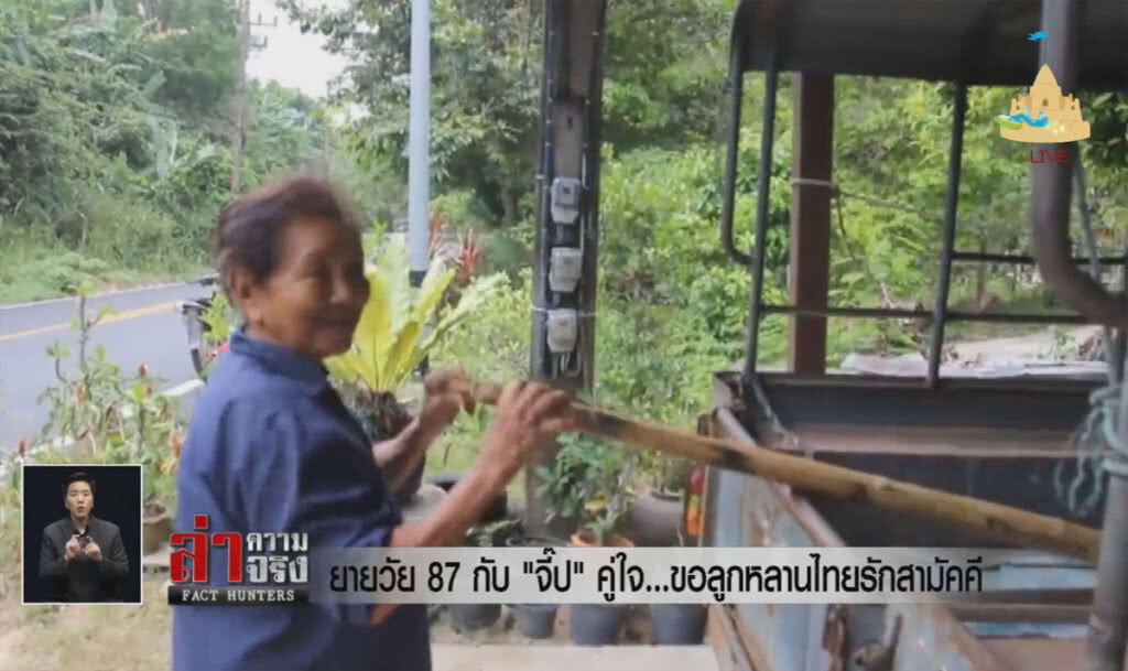 ยายวัย 87 กับ"จี๊ป"คู่ใจ...ขอลูกหลานไทยรักสามัคคี