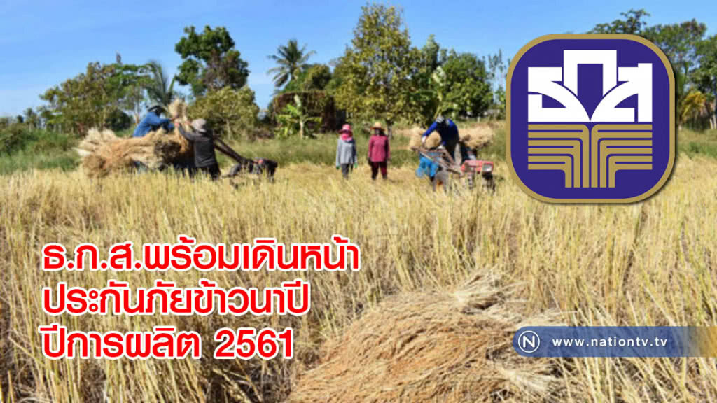 ธ.ก.ส.พร้อมเดินหน้าประกันภัยข้าวนาปี ปีการผลิต 2561