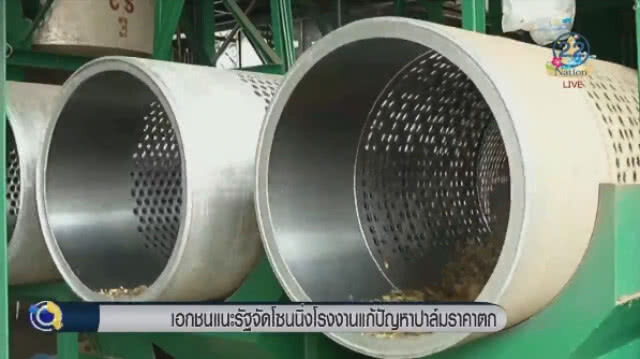 "เอกชน" แนะรัฐ จัดโซนนิ่งโรงงานแก้ปัญหาปาล์มราคาตก