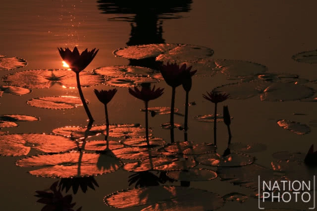 พระอาทิตย์ดวงโต แผ่รัศมีทักทายในตอนเช้าวันสงกรานต์