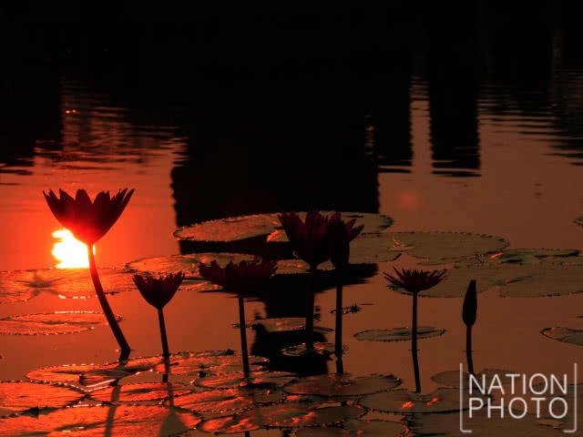 พระอาทิตย์ดวงโต แผ่รัศมีทักทายในตอนเช้าวันสงกรานต์