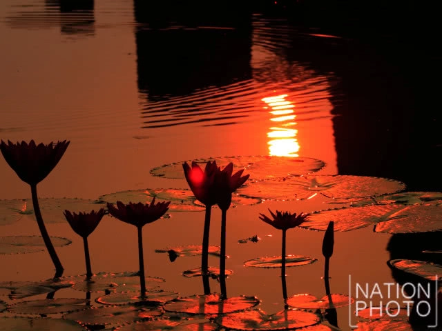 พระอาทิตย์ดวงโต แผ่รัศมีทักทายในตอนเช้าวันสงกรานต์