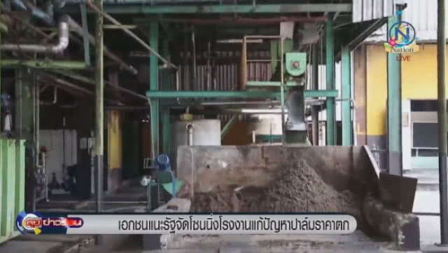 "เอกชน" แนะรัฐ จัดโซนนิ่งโรงงานแก้ปัญหาปาล์มราคาตก