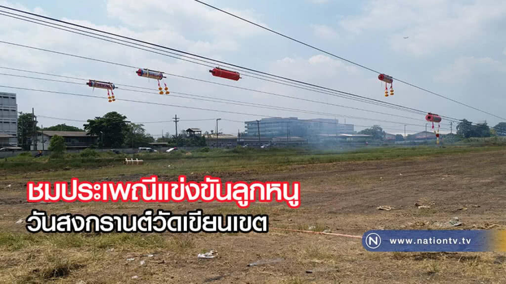 ประชาชนพาครอบครัวชม "ประเพณีการเล่นแข่งขันลูกหนู" ประชาชนพาครอบครัวชม "ประเพณีการเล่นแข่งขันลูกหนู"